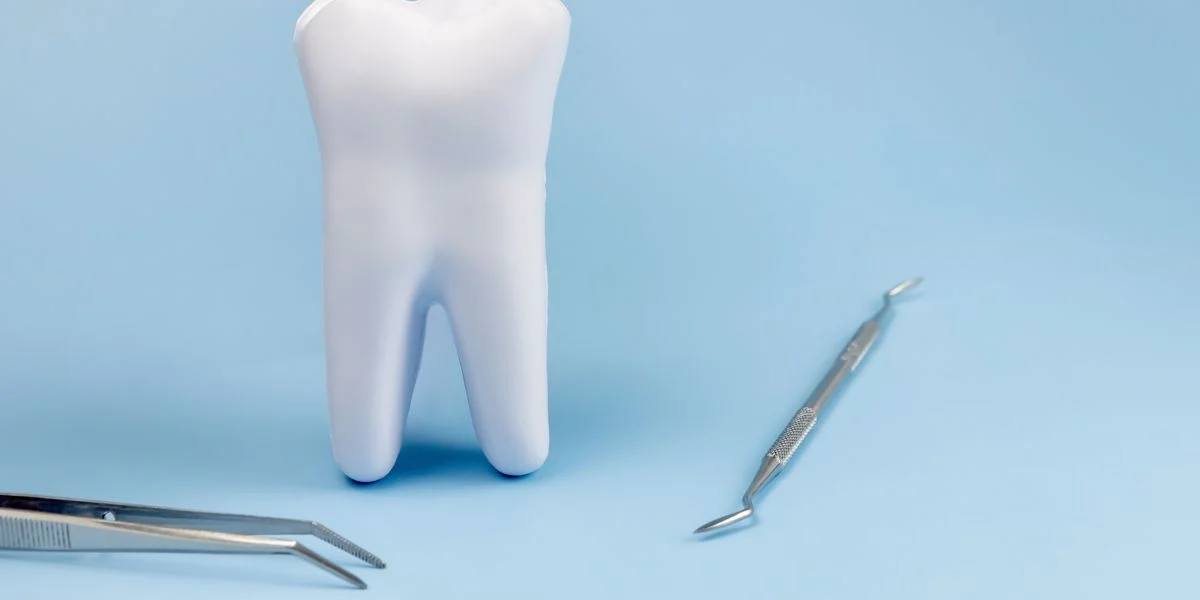Dental Specialists Near Me – What to Look for and What to Ask – Image 2 Dental Specialists Near Me - What to Look for and What to Ask - Image 2